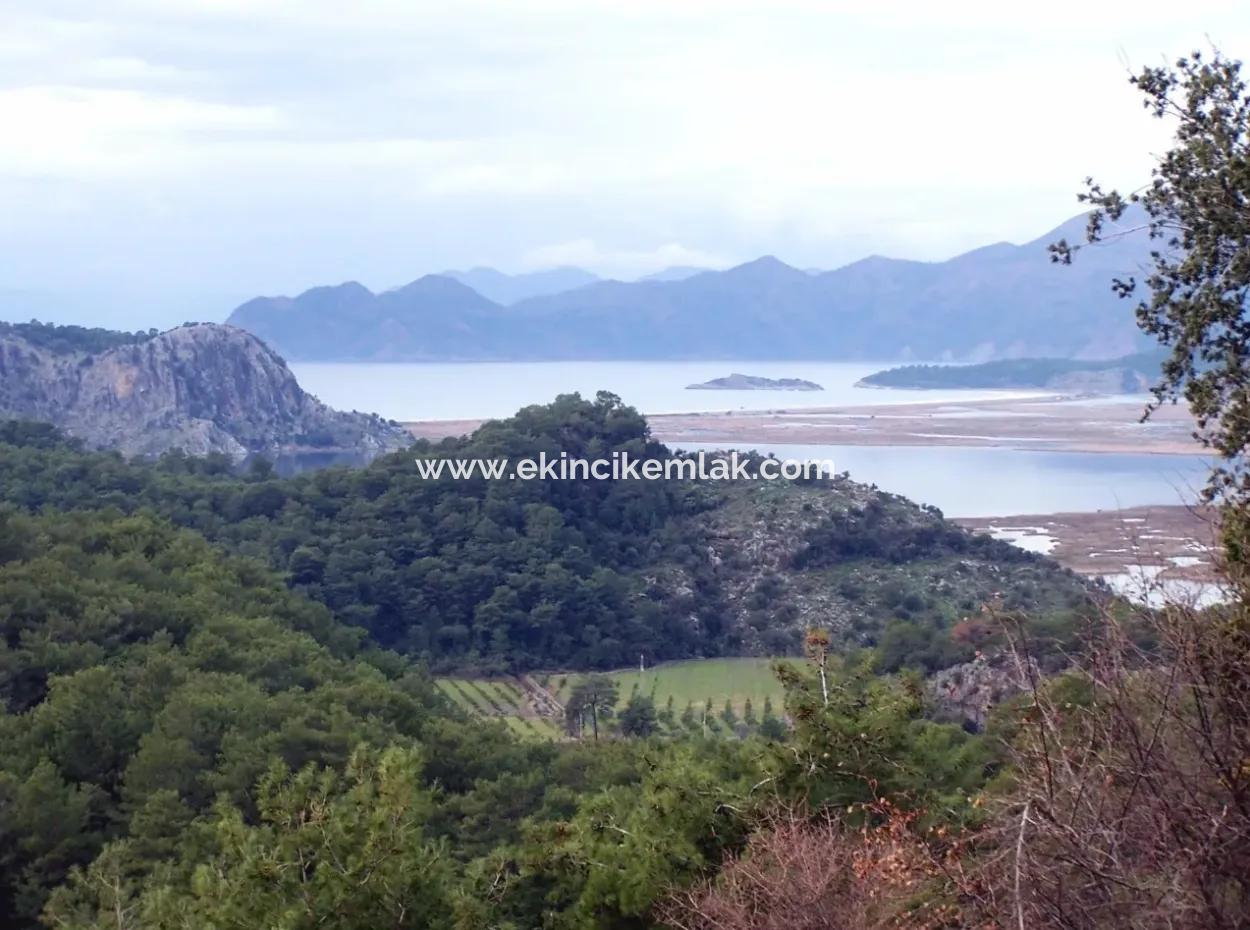 Merkez Dalyan Iztuzu See Zum Verkauf In Gokbel Null Pfad 7484M2