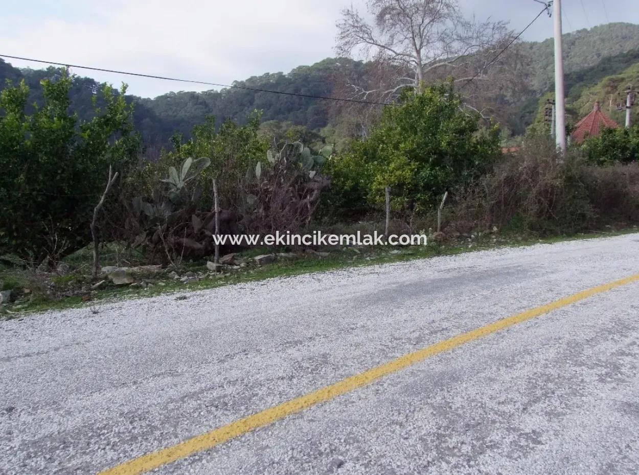 Zum Verkauf In Koycegiz, Dalyan Grundstück Zum Verkauf 10629M2