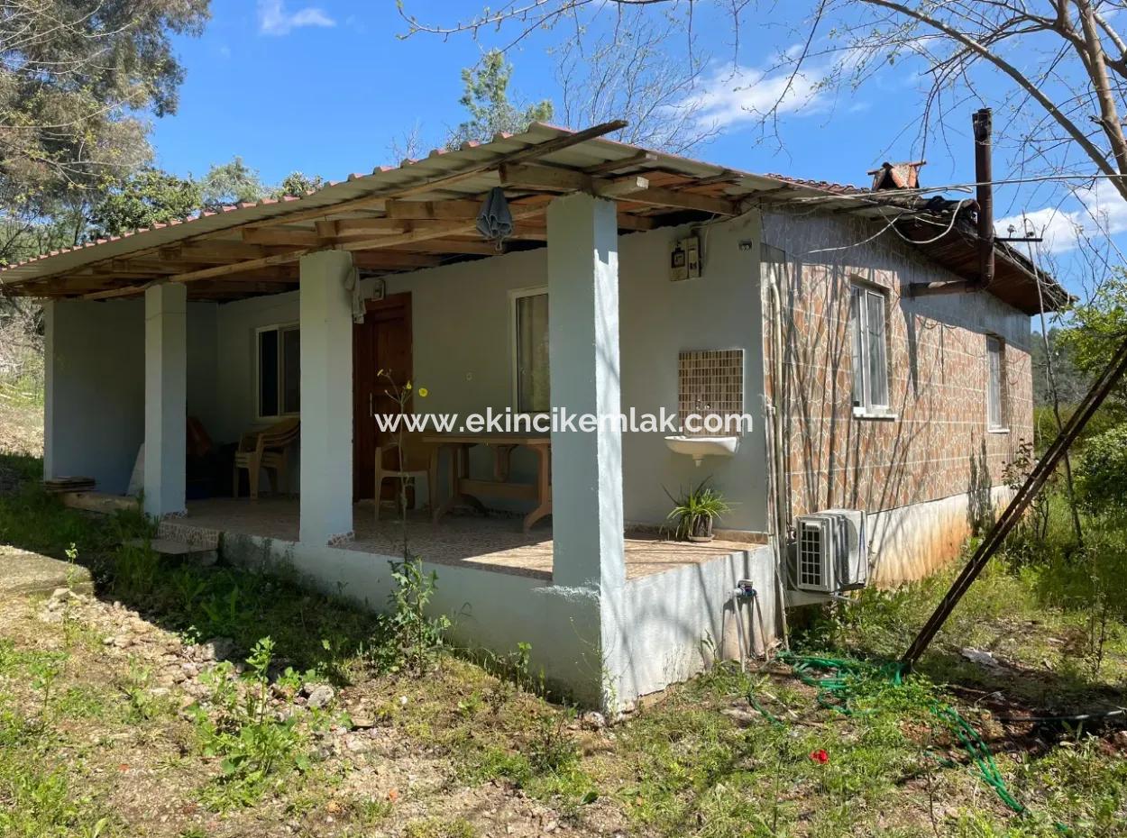 Mehrfamilienhaus Zum Verkauf In 5650M2 Feld In Zeytinalann