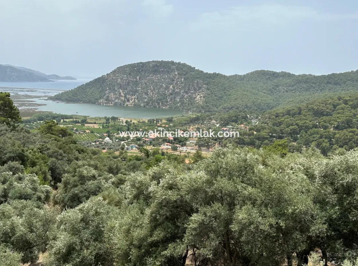 Grundstück Zum Verkauf In Çandır Mit Seeblick