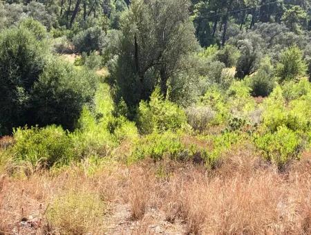 Tourismus-Zonen Grundstücke Zum Verkauf In Göcek Mit Meerblick Zum Verkauf In Gocek