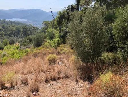 Tourismus-Zonen Grundstücke Zum Verkauf In Göcek Mit Meerblick Zum Verkauf In Gocek