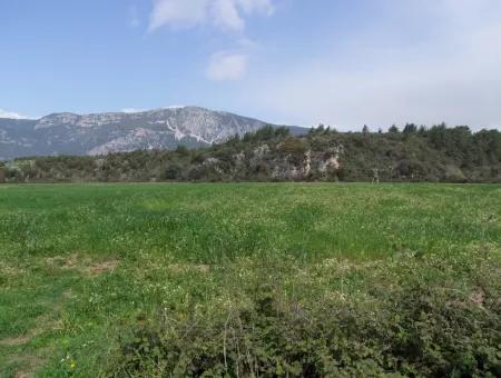 In Akyaka Zum Verkauf: Grundstück Zum Verkauf Bauernhof Zum Verkauf Einer Farm In Der Nähe Vom Meer, In Ars, Yatirimlik 21625M2