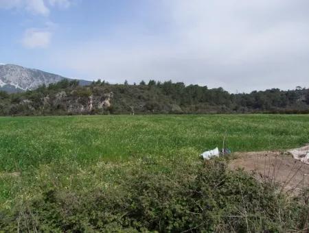 In Akyaka Zum Verkauf: Grundstück Zum Verkauf Bauernhof Zum Verkauf Einer Farm In Der Nähe Vom Meer, In Ars, Yatirimlik 21625M2