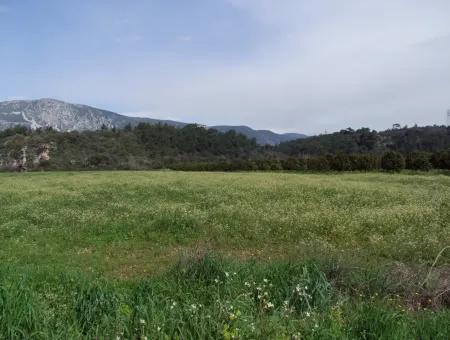 In Akyaka Zum Verkauf: Grundstück Zum Verkauf Bauernhof Zum Verkauf Einer Farm In Der Nähe Vom Meer, In Ars, Yatirimlik 21625M2