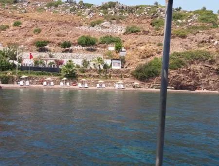 Benutzerdefinierte Dorf Am Meer Zu Verkaufen Villa Zum Verkauf In Osmanabad