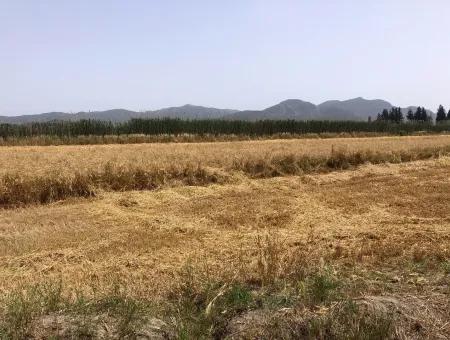 Ackerland Zum Verkauf 39 Hektar In Eskikoy