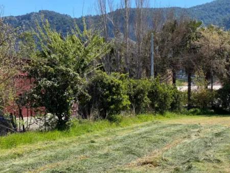 3700M2 Grundstück Zu Verkaufen In Dalyan