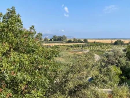 Land Zu Verkaufen In Fevziye 1858M2 Land Zum Verkauf Mit Voller Meerblick