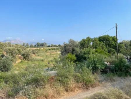 Land Zu Verkaufen In Fevziye 1858M2 Land Zum Verkauf Mit Voller Meerblick