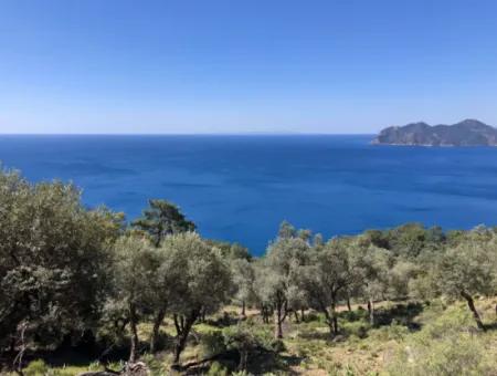 Grundstück Zum Verkauf Mit Meerblick In Çandir