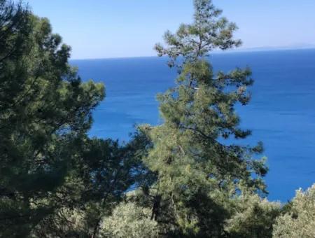 Feldgrundstück Zum Verkauf Mit Meerblick Von Çandir