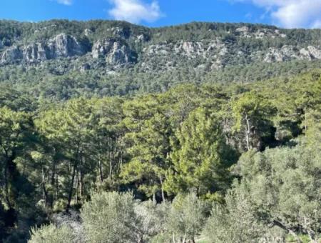 4000M2 Feld Zum Verkauf Mit Seeblick In Çandir