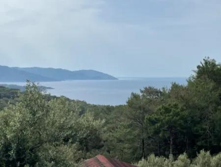 Olivenhaus Mit Meerblick In Ekincik Steht Zum Verkauf