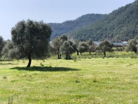 3250M2 Grundstück Zum Verkauf In Ekincik Mit Blick Auf Das Meer