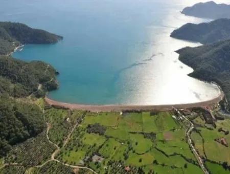 3250M2 Grundstück Zum Verkauf In Ekincik Mit Blick Auf Das Meer