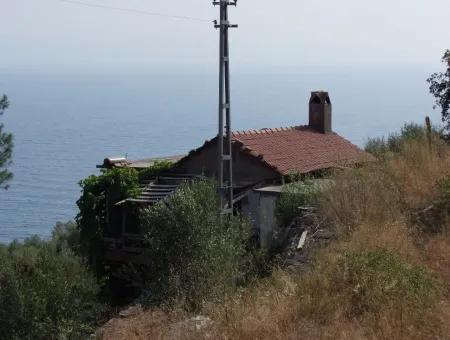 5000M2 Grundstück Zum Verkauf In Akyaka Mit Vollem Meerblick Haus Zum Verkauf Kentucky