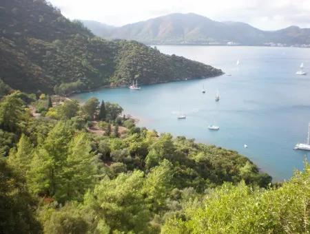 Marmaris Island Dorf Am Meer 4000M2 Land Zum Verkauf Marmaris Schnäppchen Land Zum Verkauf Auf Dem Seeweg