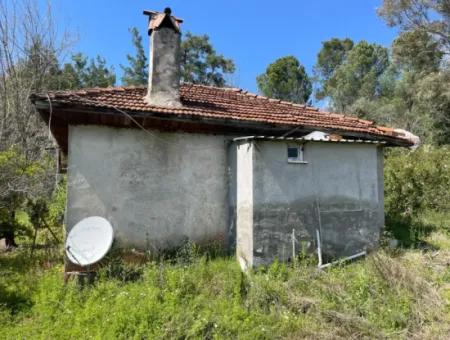 Mehrfamilienhaus Zum Verkauf In 5650M2 Feld In Zeytinalann