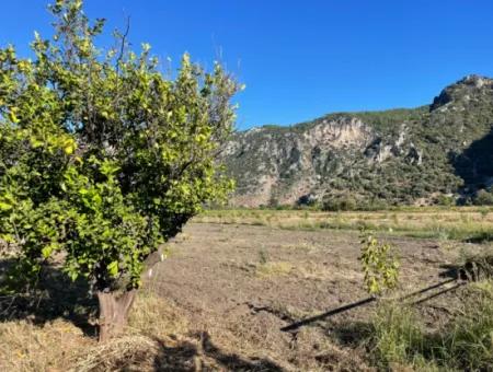 Grundstück Zum Verkauf In Dalyan In Der Nähe Des Zentrums Von 6600M2