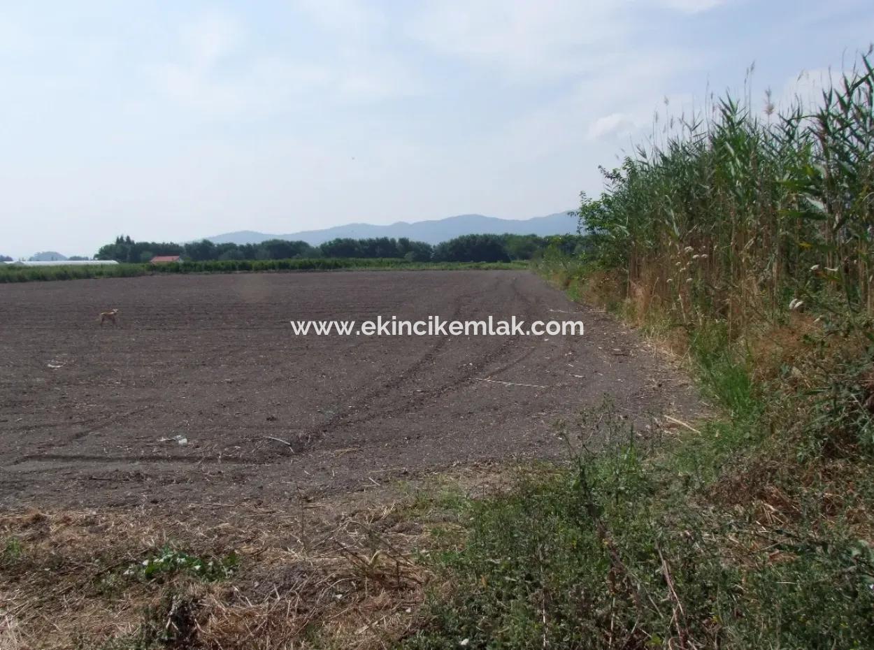 Farm For Sale In Dalyan Eskikoy Eskikoy Oriya 14,900M2 Plot For Sale Field