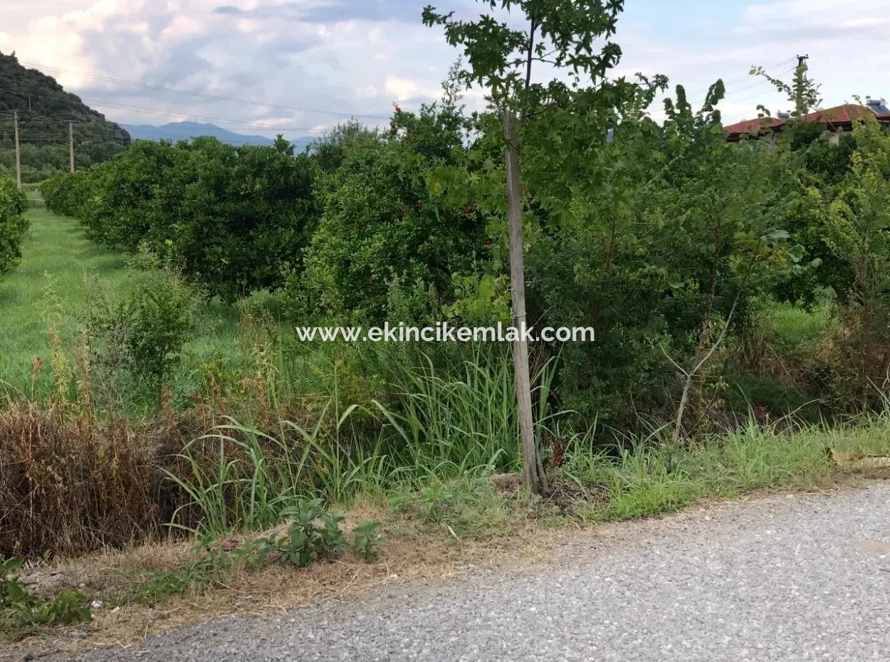 722M2 Plot For Sale In Dalyan Gülpınar For Sale