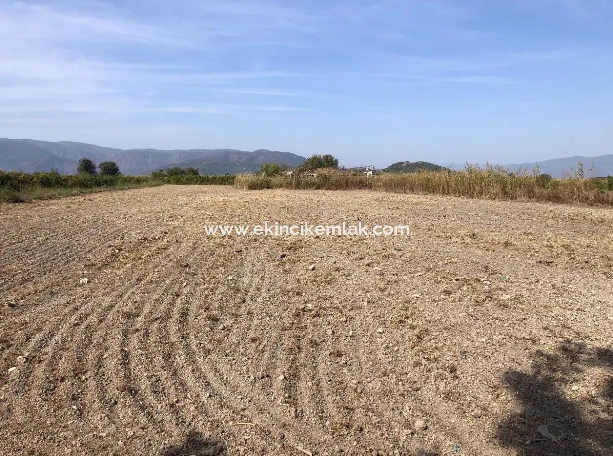 Land For Sale In Esköy 8500M2 Field Land For Sale