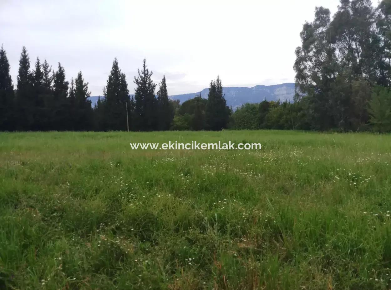 Land For Sale In Çamlida