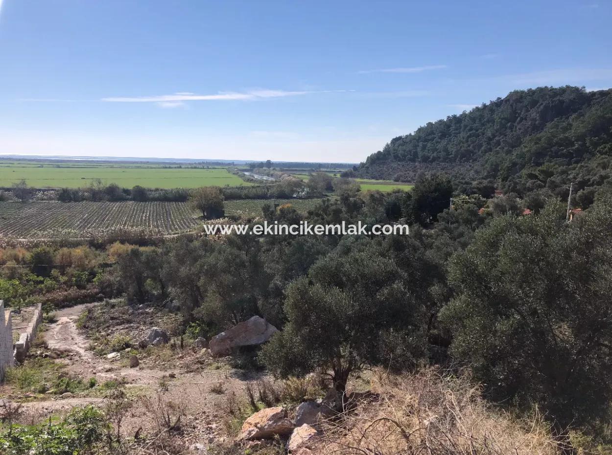 Land For Sale With Sea View Of Fevziye