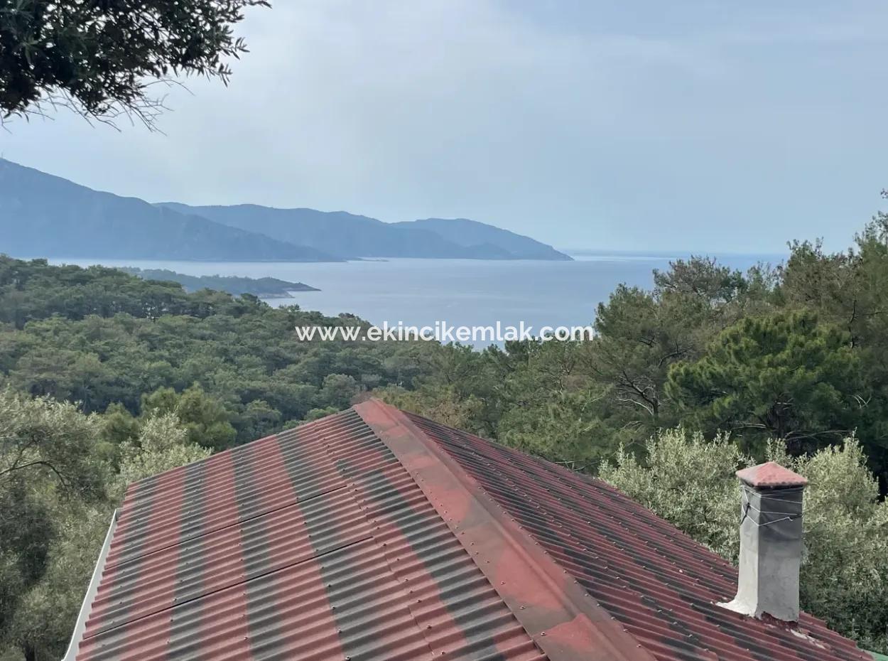 Olive House With Sea View In Ekincik Is For Sale