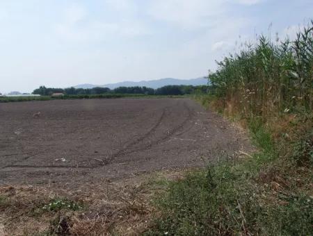 Farm For Sale In Dalyan Eskikoy Eskikoy Oriya 14,900M2 Plot For Sale Field