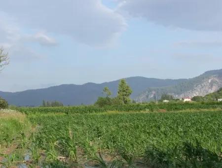 Farm For Sale Near The Centre Of Dalyan,14, 612M2 Farm For Sale