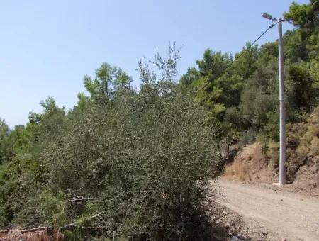 For Sale Land Also With Full Sea View For Sale In Sarigerme Land For Sale