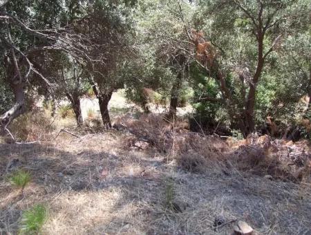 For Sale Land Also With Full Sea View For Sale In Sarigerme Land For Sale