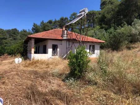 Garden For Sale In Gokce Akyaka, Near The Sea, A 38,000M2 Plot For Sale