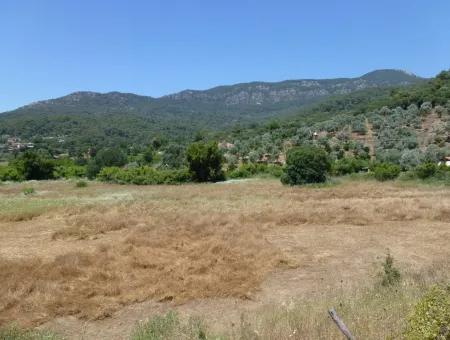 2300M2 Land For Sale Near The Center Of The Land For Sale