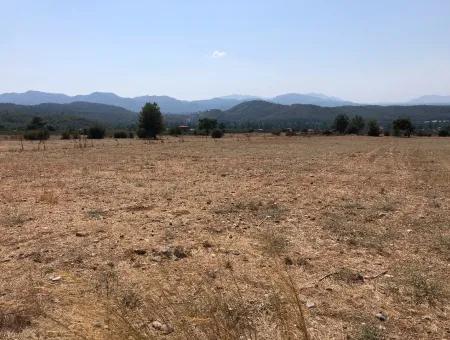 11.227M2 Land For Sale With Lake Views In Köyceğiz Zeytinalanı