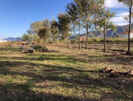 Land For Sale In Dalyan 2540M2