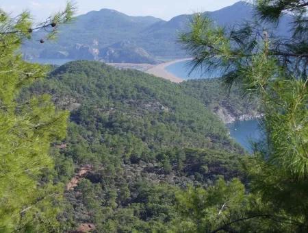 Real Estate Bargain Plot For Sale With Sea Views In Çandır Call In Ekincik