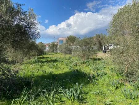 401M2 Land For Sale In Ortaca Cumhuriyet Neighborhood