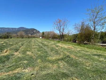 3700M2 Land For Sale In Dalyan