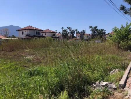 Land For Sale In Dalyan Gülpinar