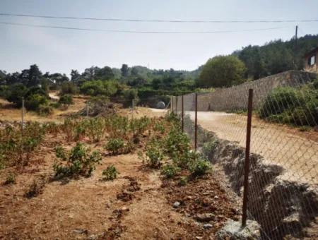 1245M2  Land For Sale In Marmaris Çamlı