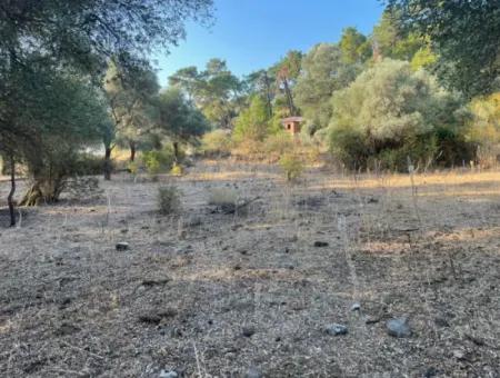 Çandir 3,800M2 Land For Sale