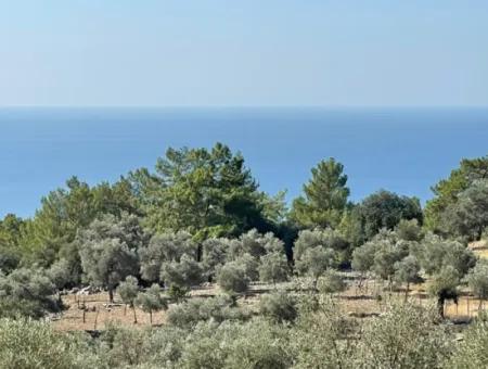 Land For Sale With Sea View Of Çandir