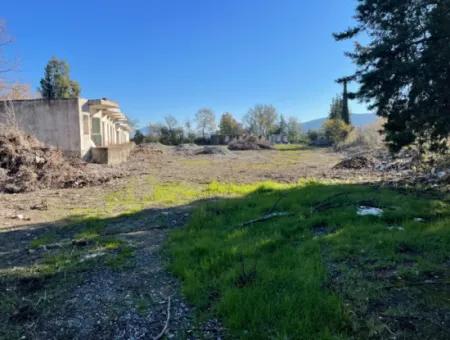 Land For Sale In Dalyan Gülpınar On The Main Road 9,037M2