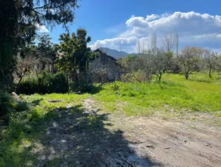 Village House For Sale In 1981M2 Plot In Sourliyurtda