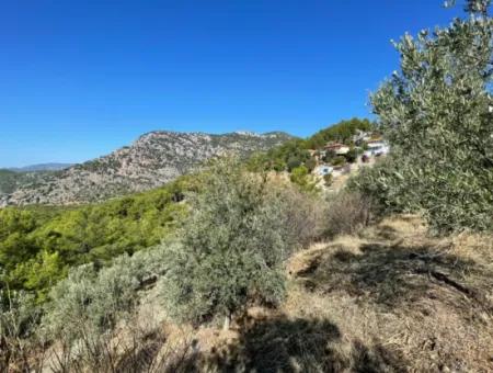 Gökbelde Full Sea View 3514M2 Land For Sale