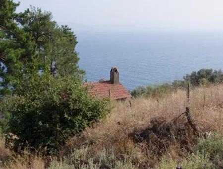 5000M2 Plot Of Land For Sale In Akyaka With Full Sea View House For Sale Kentucky