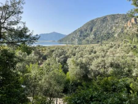 1,136M2 Field Plot For Sale With Çandır Lake View